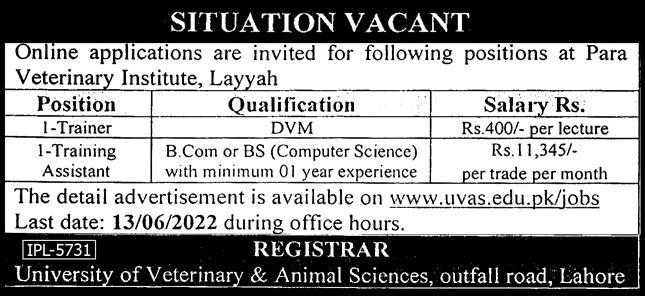 Latest University of Veterinary and Animal Sciences Education Posts Lahore 2022