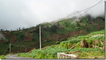 SAM_0895