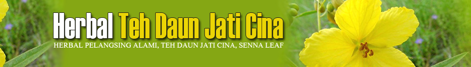 Teh Daun Jati Cina Kendari | Herbal Pelangsing Alami