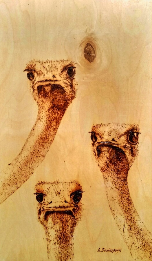 11-Layers-of-ostriches-Pyrography-Drawings-Bondarchuk-www-designstack-co