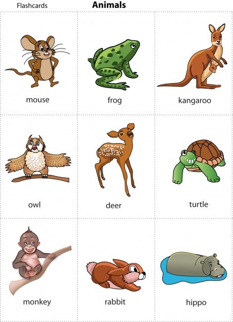 ANIMAL CARDS FOR CHILDREN