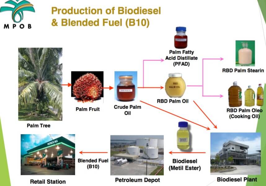 Biodiesel Kelapa Sawit Lebih Jimat Selamat Dan Mesra 