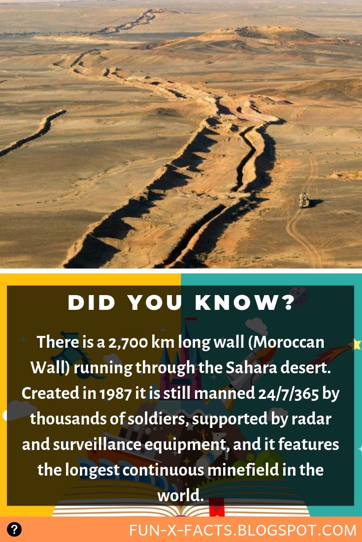 There is a 2,700 km long wall (Moroccan Wall) running through the Sahara desert