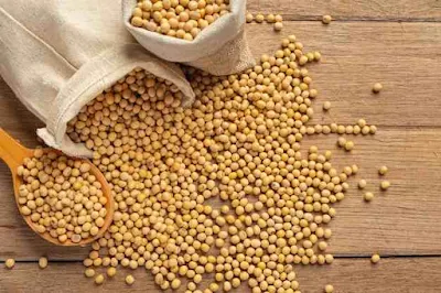 stop eating soybeans for sperm count