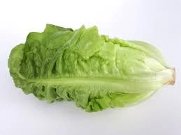 hidden acne with lettuce. green lettuce with white background