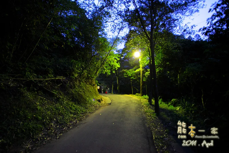 三峽螢火蟲活動|中園國小螢火蟲