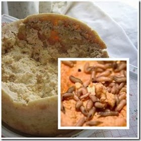 casu marzu