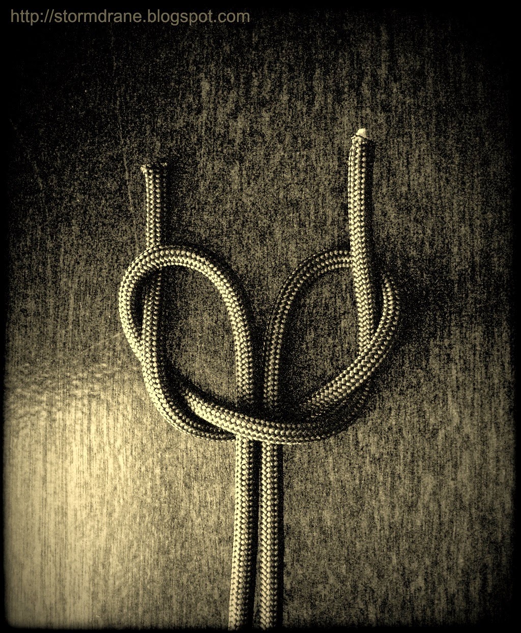 Stormdrane's Blog: ABoK #802, A two-strand lanyard knot