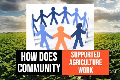 How community supported agriculture work