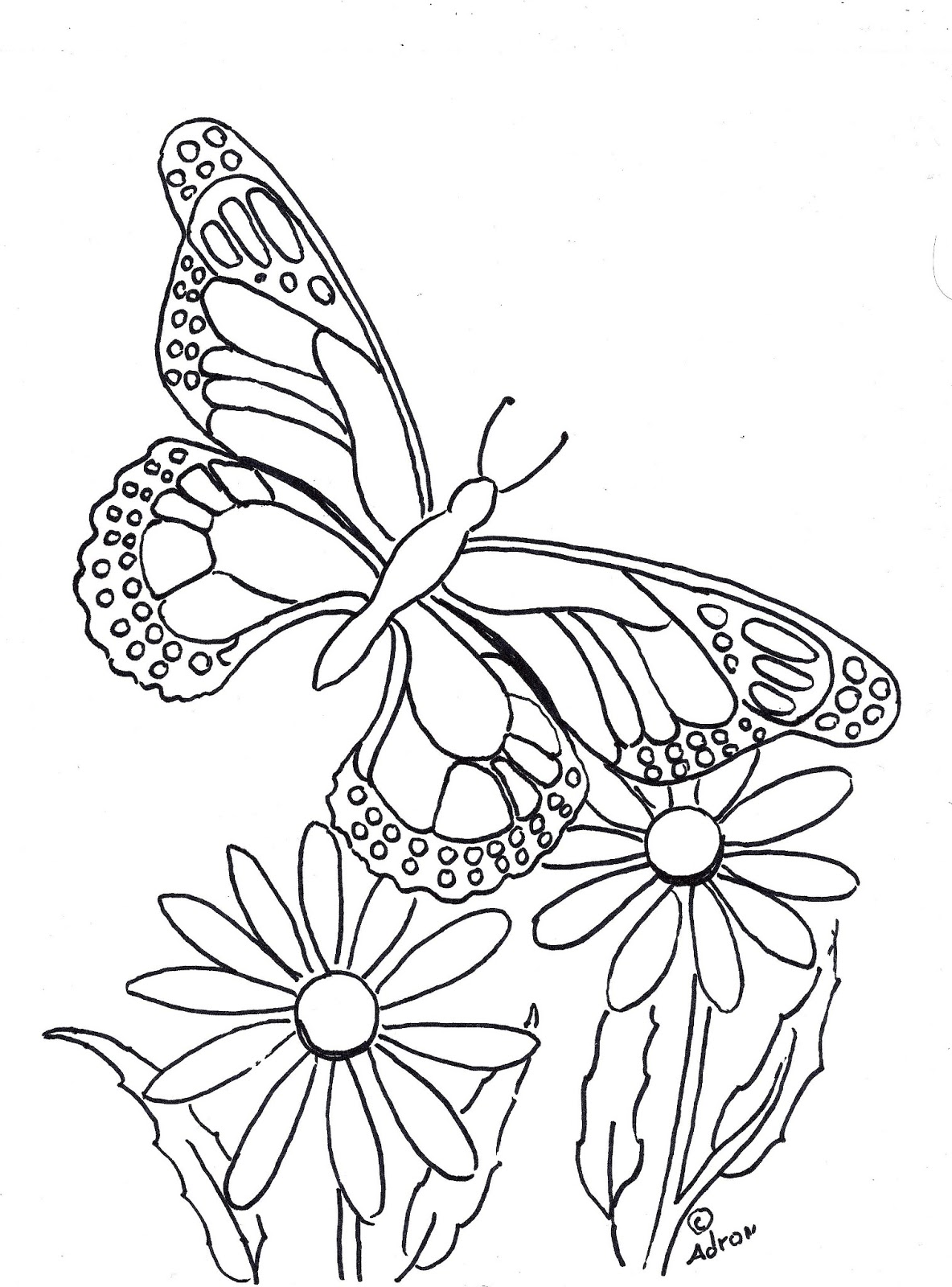 Download Coloring Pages for Kids by Mr. Adron: Butterfly Coloring ...