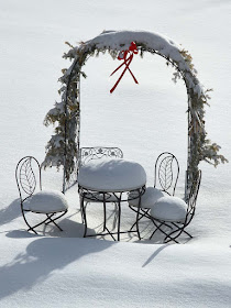 Winter Garden in Snow