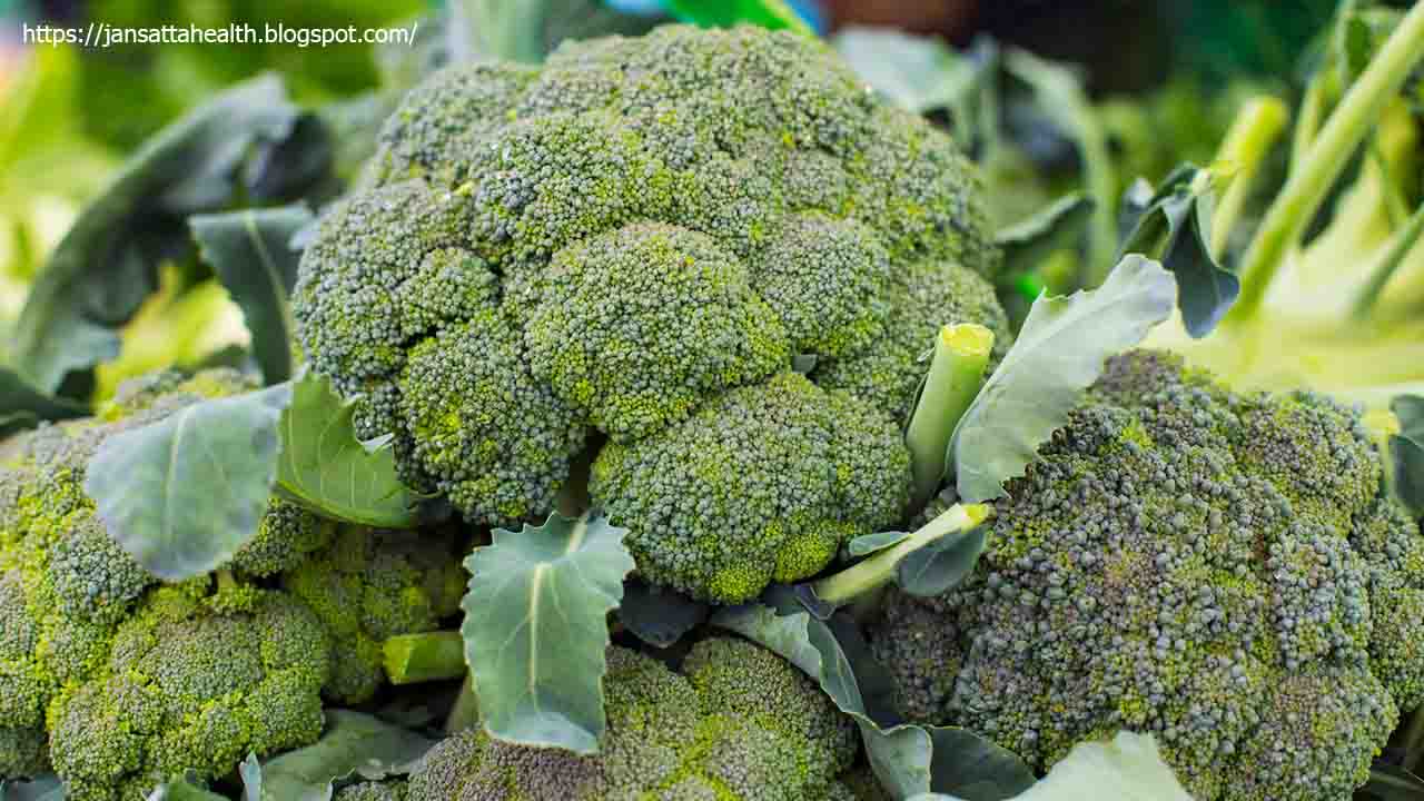 ब्रोकोली (Broccoli)