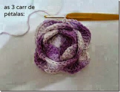 rosa z b