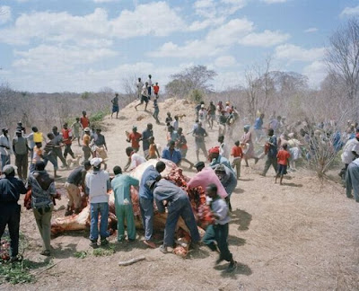 gajah zimbabwe