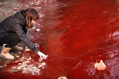 Yangrze river red water