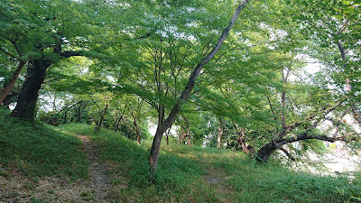 野中神社(藤井寺市)