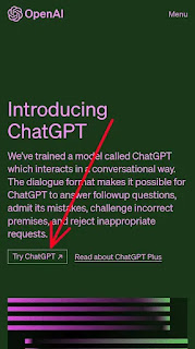 Come usare Chat Gpt dal Telefono Passaggio 1 - andiamo sul sito di chat gpt utilizzando il browser e clicchiamo su try chat gpt