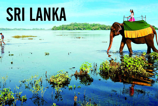 Budget Sri Lanka Tour Travel Packages from India