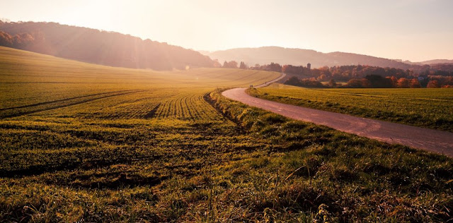 Route sinueuse au loin, avec coucher de soleil.