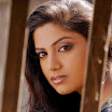 Kavita Radheshyam hot actress wallpaperKavita Radheshyam hot actress