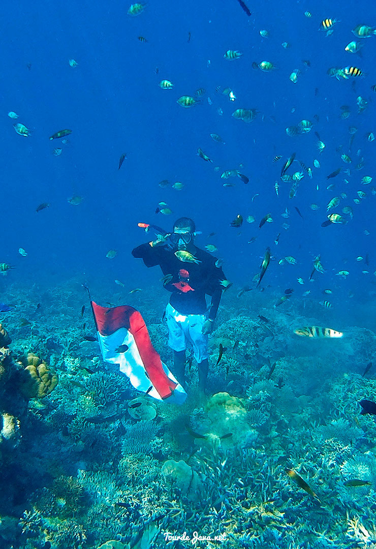 underwater pulau harapan kepulauan seribu