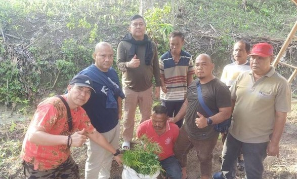 Ditresnarkoba Polda Lampung Temukan Ladang Ganja di Bakauheni