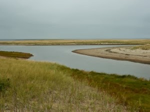 P1100954