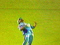 Sachin Taking Gayle's Catch of Bravo in the match between Mumbai Indians and KKR