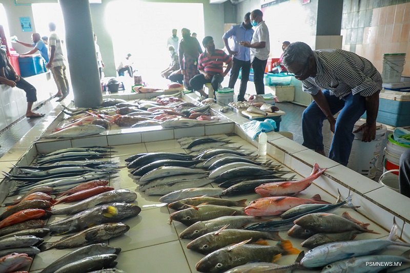 Male Fish Market, Male, Maldives