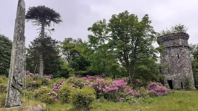 life in scotland