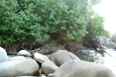 Pulau Pandang Batubara