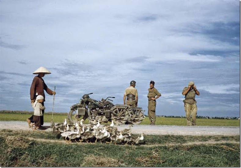 capa_kodachrome 013