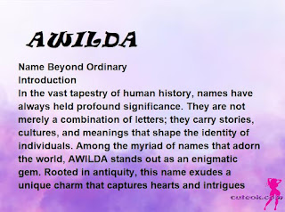 meaning of the name "AWILDA"