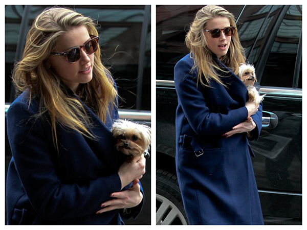 Always in Fashion Glasses, Amber Heard's Another Companion besides Johnny Depp