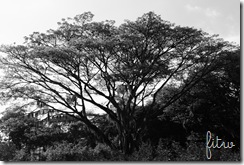 DSC02045