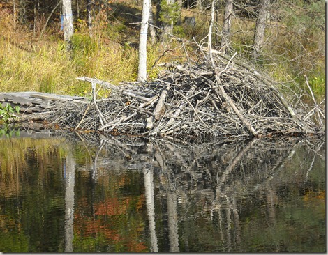 october2011 084