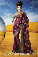 Latest Diwali Sarees Collection