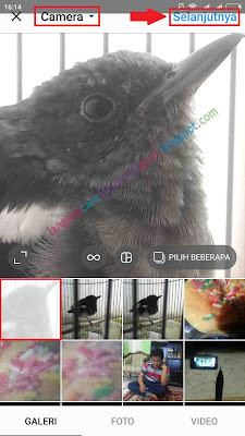 Cara Upload Foto ke Instagram | Memasukan Foto di Instagram 