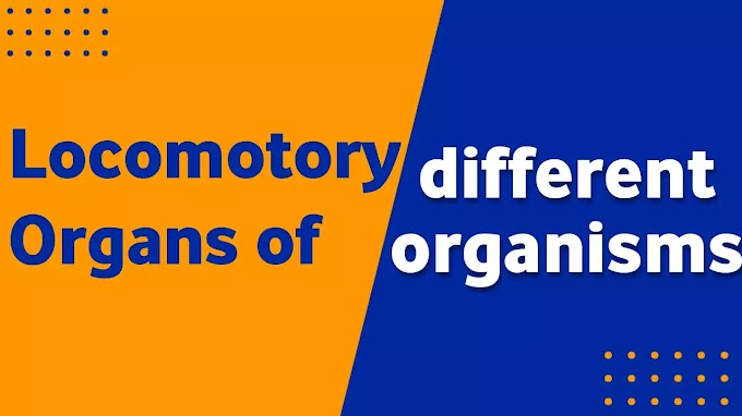 Locomotory Organs of Different Organisms Animals | General Science