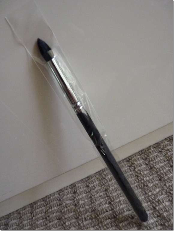 P1100302