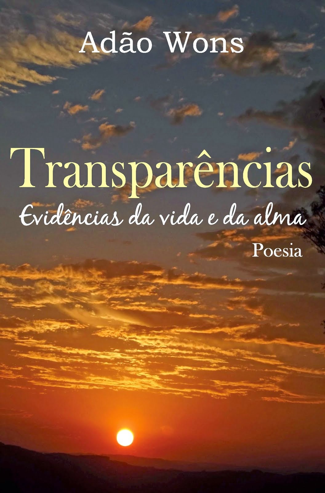 Transparências -Evidências da vida e da alma