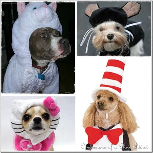 dogs in disguise dogs in disguise