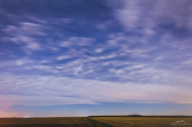 Beata Nurzyńska Fotografia