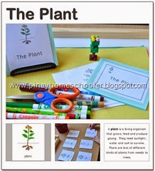 theplant