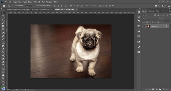 Cara Cepat Seleksi Foto Sekali Klik di Adobe Photoshop CC 2021