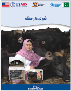 Dairy Farming (Urdu) By USAID Project