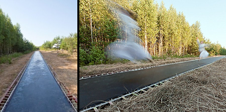 Trampoline Pathway