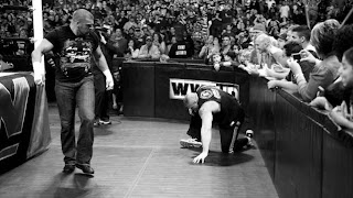  WWE Triple H