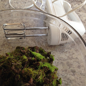 moss in bowl