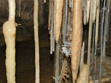 P7150114